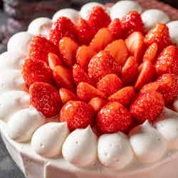 キング・オブ・ショートケーキ/TM&(C)TOHO CO.,LTD.