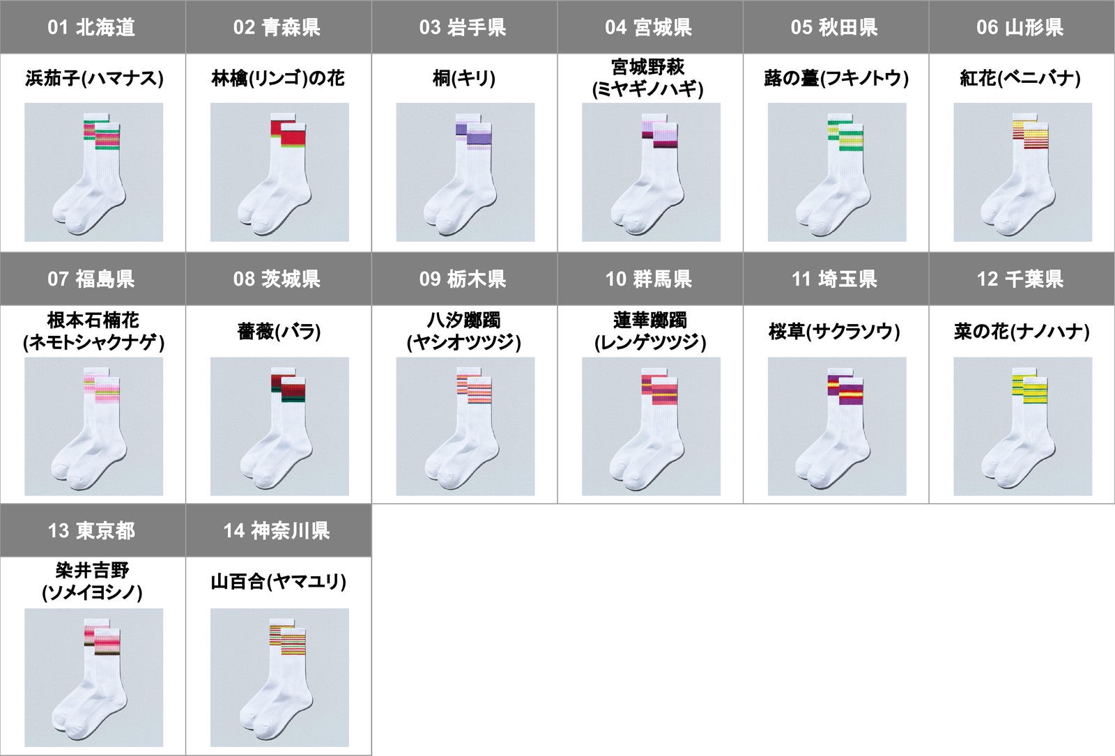 47都道府県別ラインソックス／提供画像