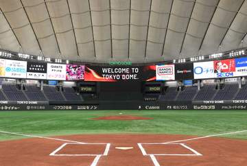 ボールボーイが捕逸のボールに触る珍プレー 巨人－ソフトバンク戦の五回、巨人の攻撃中に 責任審判が場内アナウンスで状況説明