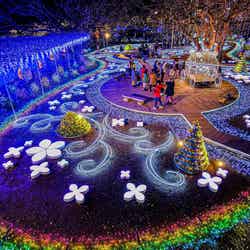 光の花の庭~Flower Fantasy(提供写真)