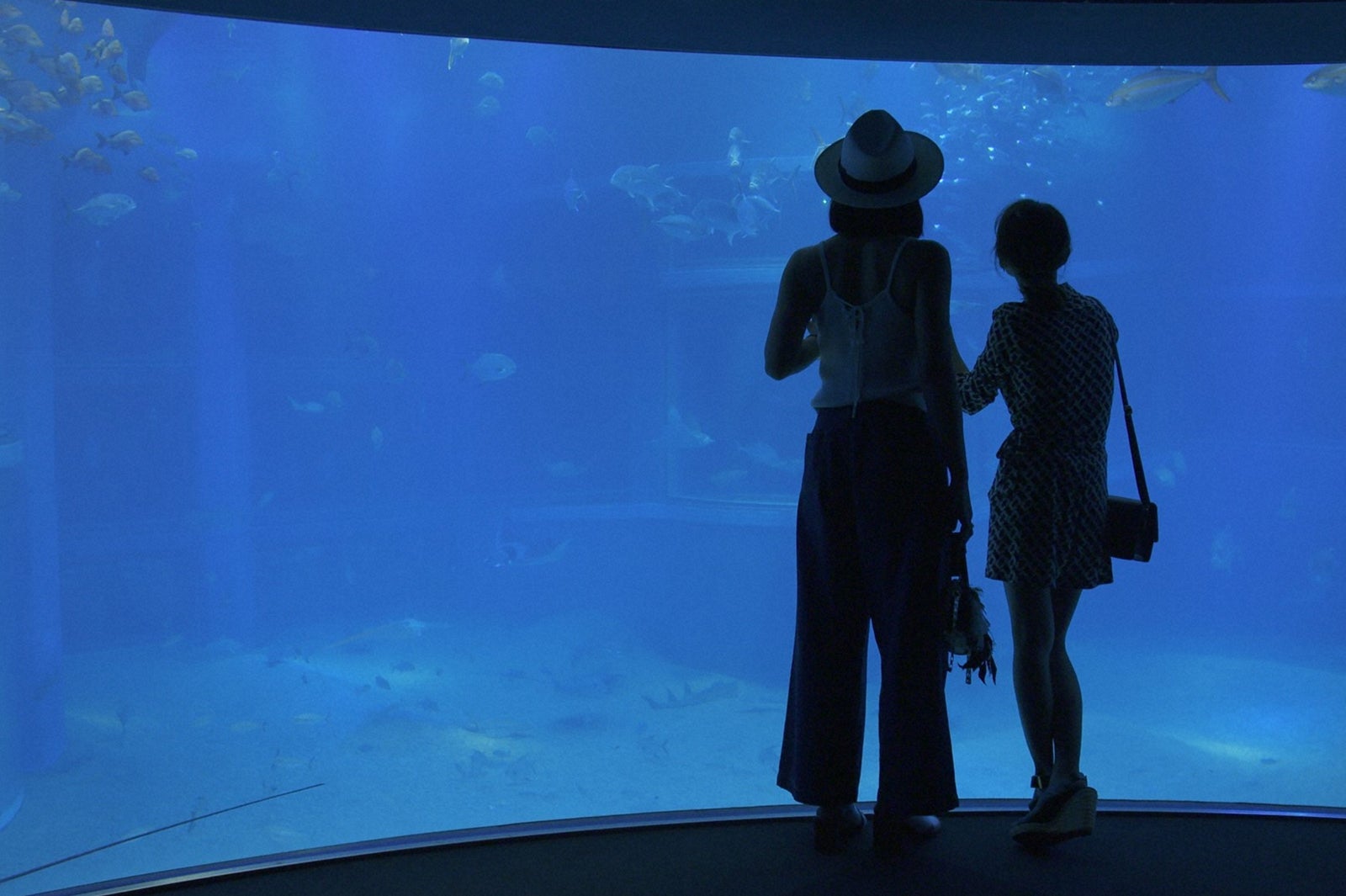 海遊館／画像提供：TBS