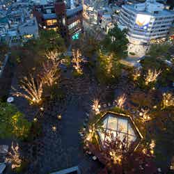 OMOHARA Christmas illumination/画像提供:東急不動産SCマネジメント
