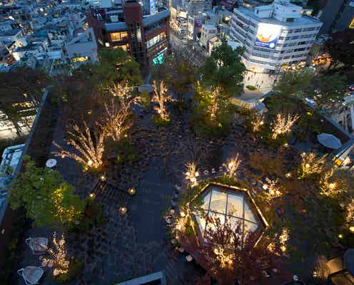 原宿「おもはらの森」でクリスマスイルミネーション、約16,000球の幻想的な光で彩る