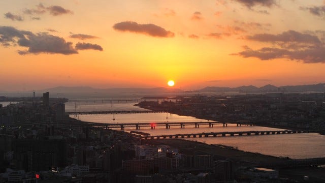 【大阪】まもなく見頃♡