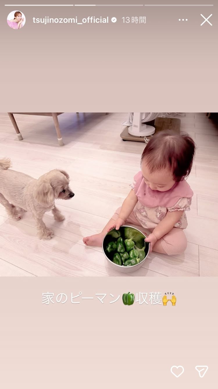 辻希美Instagramストーリーズより
