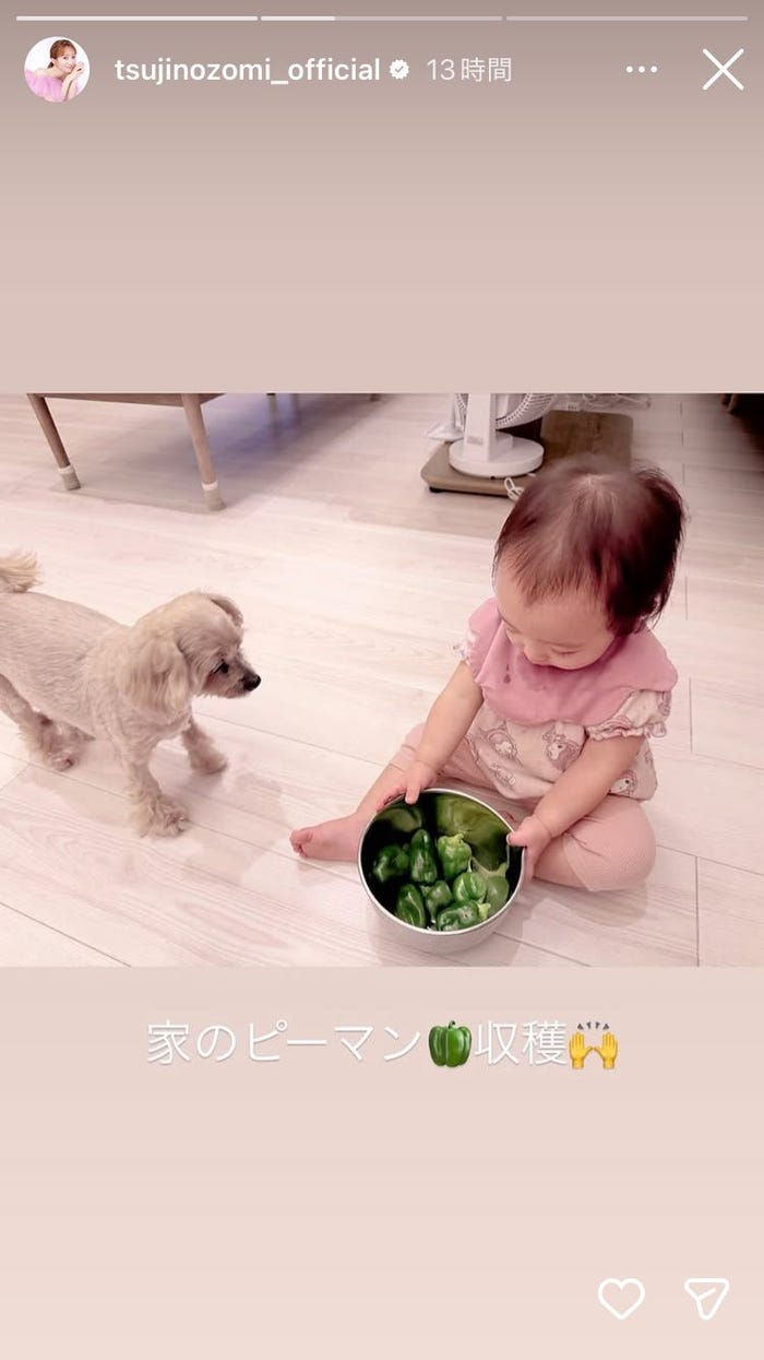 辻希美Instagramストーリーズより