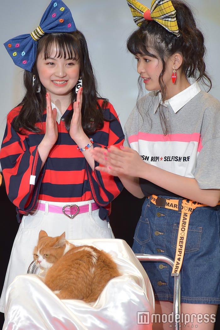ふてにゃん登場 (C)モデルプレス