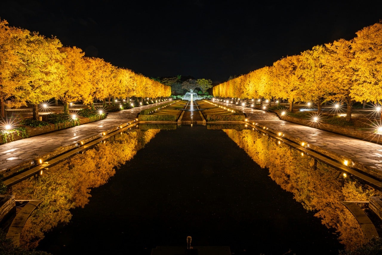 国営昭和記念公園／提供画像