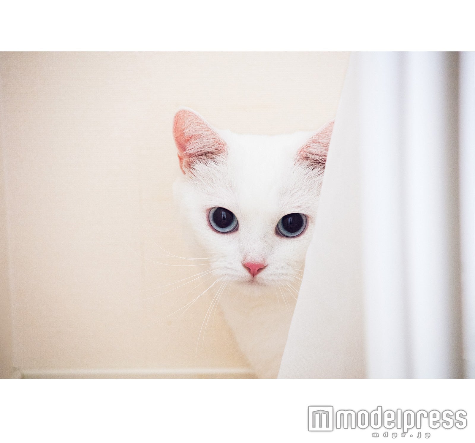 「ダニョ カワイイ #DANYO CAWAII」より（画像提供：幻冬舎）