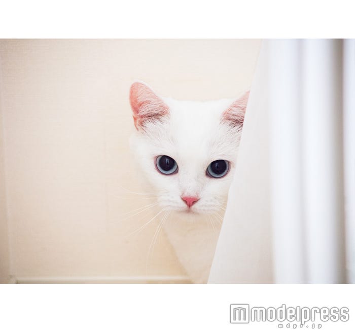 「ダニョ カワイイ #DANYO CAWAII」より(画像提供:幻冬舎)