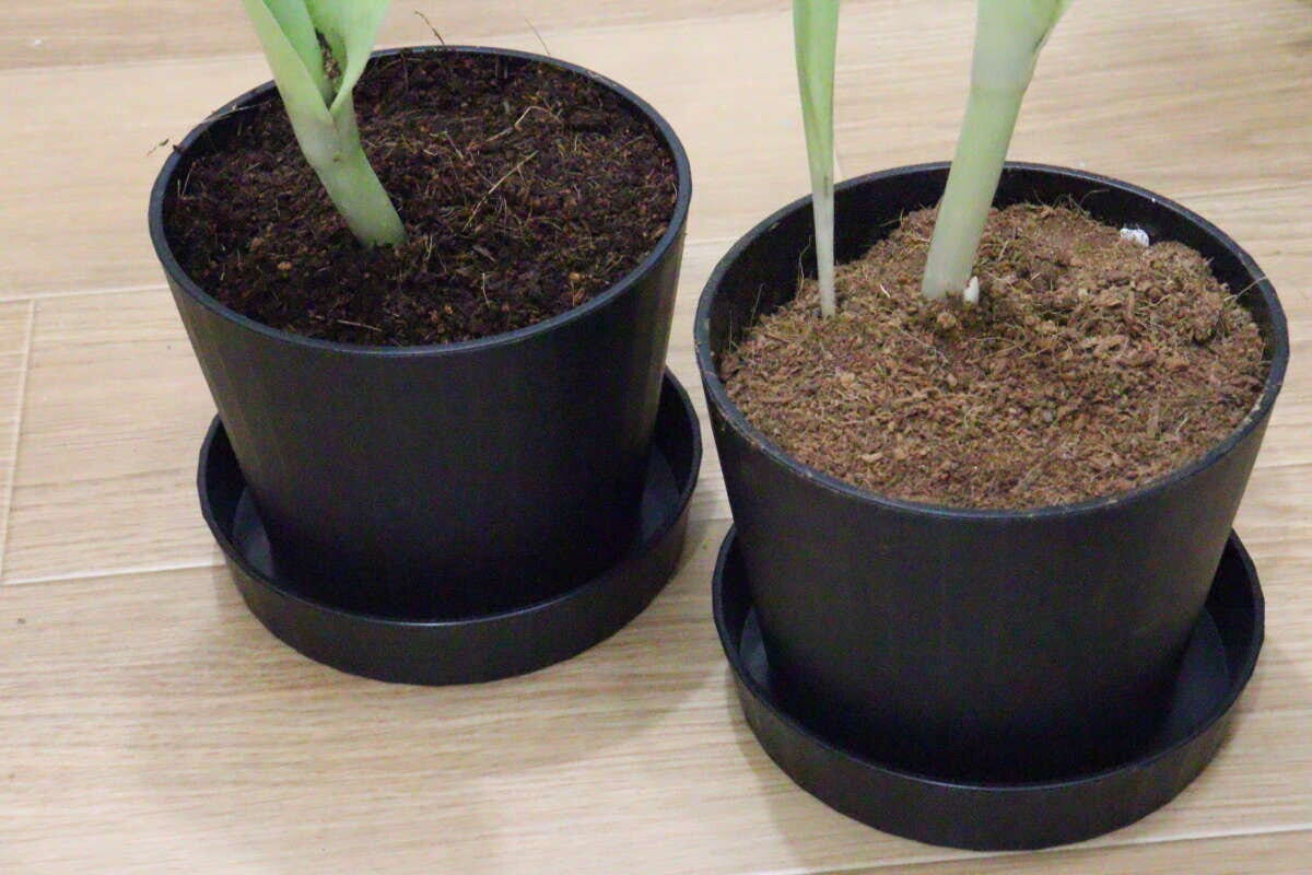 ダイソーのエコポットとエコプレートを使ったレイアウト例