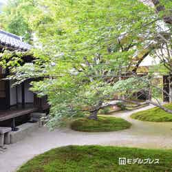 宇野千代生家(C)モデルプレス