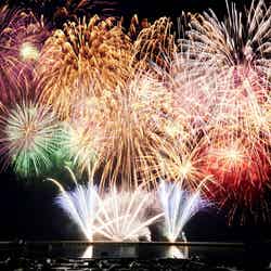 サマーナイト花火/提供画像