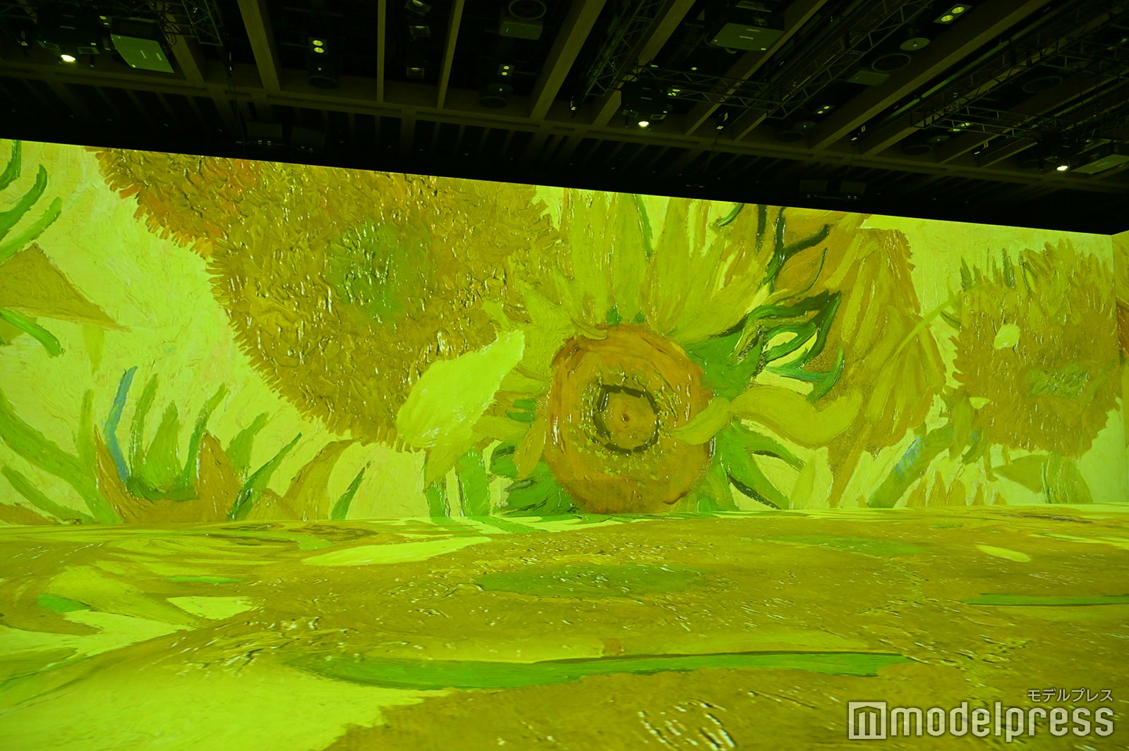 「Immersive Museum」会場の様子（C）モデルプレス