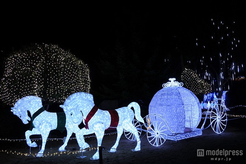 馬車のイルミネーション※過去写真