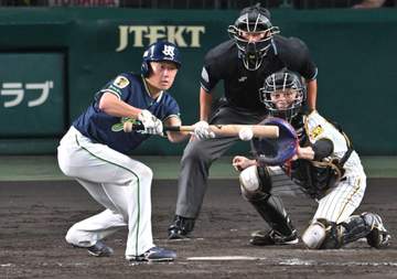 現役投手による犠打最多は？【プロ野球記録企画】