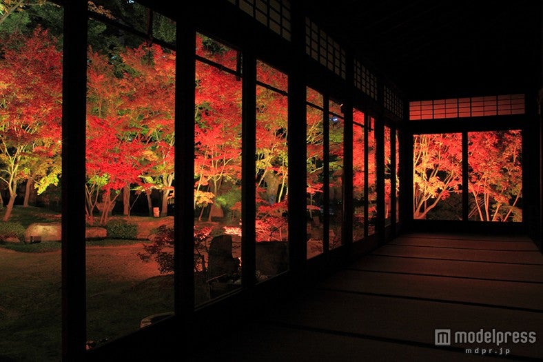 幻想的な光が紅葉＆寺社をライトアップ 