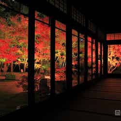 承天寺泉水庭/画像提供:福岡市【モデルプレス】