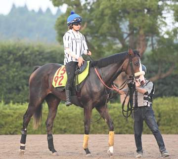 【新馬戦】良血ピュアレスト 武井師「今年の牝馬のエースです」 厩舎ゆかりの血を引く逸材