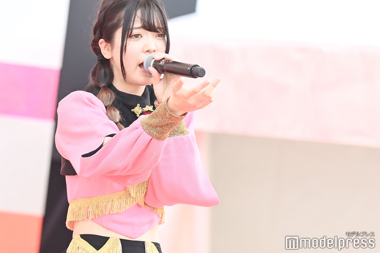 豆柴の大群（C）モデルプレス