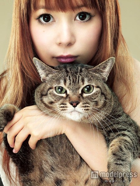 中川翔子、新たな活動を発表