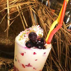 ツートーンシェイク(バニラ&ベリー)/マダガスカル共和国¥800/画像提供:横浜赤レンガ倉庫