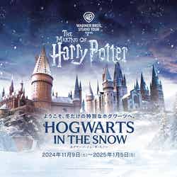ホグワーツ・イン・ザ・スノー/提供画像