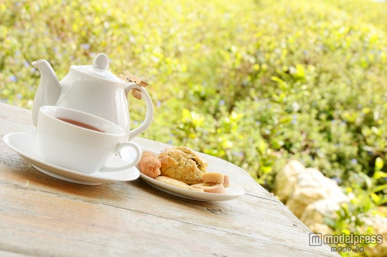 自家製の美味しい焼き菓子