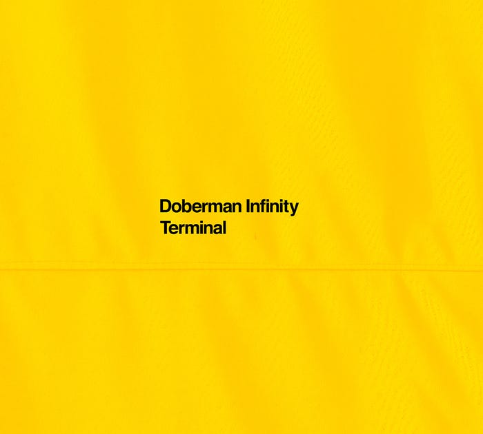 DOBERMAN INFINITYニューアルバム「TERMINAL」(11月16日発売)初回盤