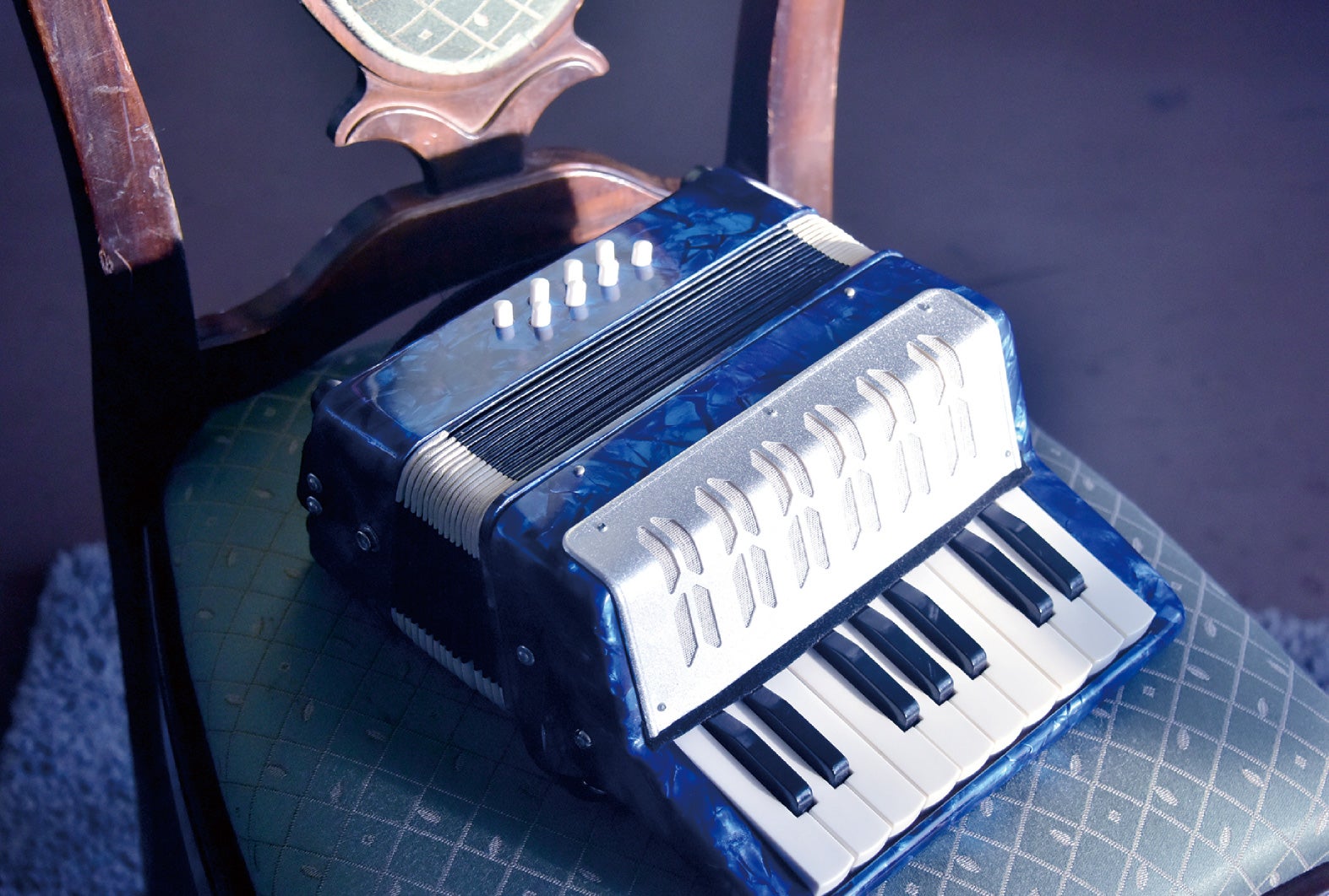 拓実が弾いたアコーディオン（C）2017映画「心が叫びたがってるんだ。」製作委員会（C）超平和バスターズ