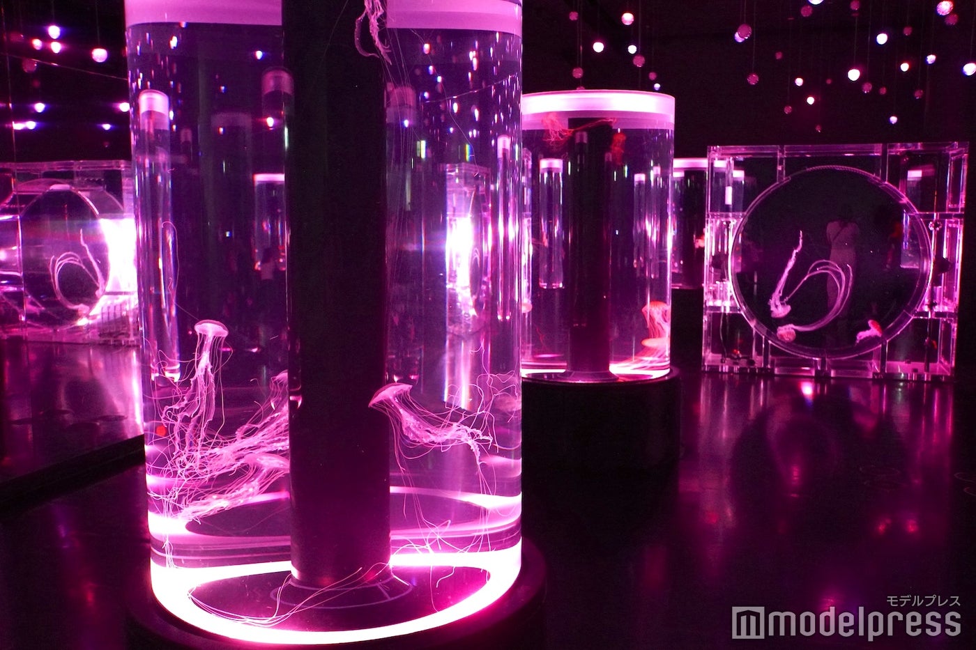 品川プリンスホテル（C）モデルプレス