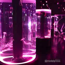 品川プリンスホテル(C)モデルプレス