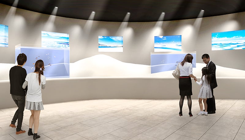 「南米ゾーン」イメージ ／画像提供：アクア・ライブ・インベストメント