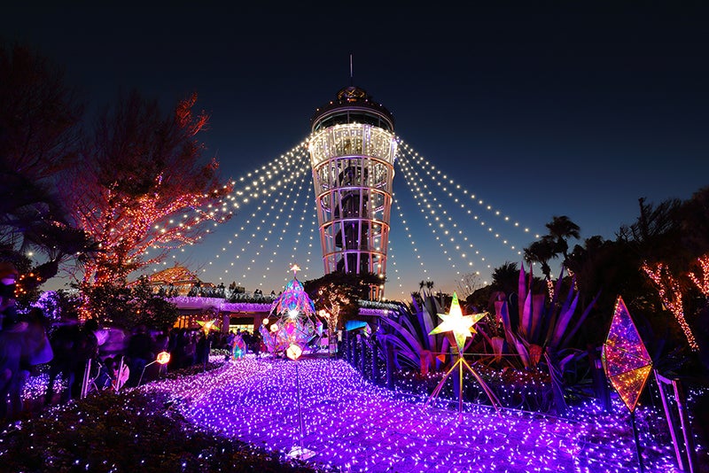 湘南の宝石～江の島を彩る光と色の祭典と色の祭典（提供画像）