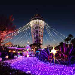 湘南の宝石～江の島を彩る光と色の祭典と色の祭典（提供画像）