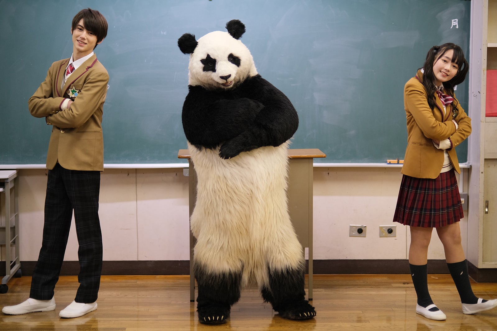 レイア ベラベラ イングリッシュ ニュース ニュース