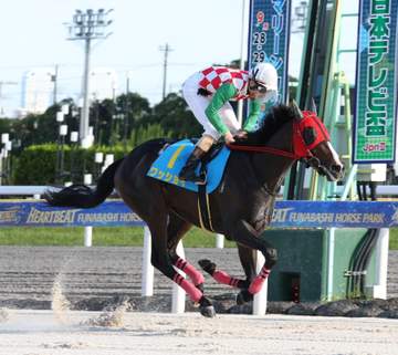 【地方競馬】ワッショイがデビュー勝ち