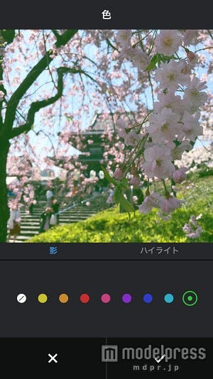 After-2 影×グリーン