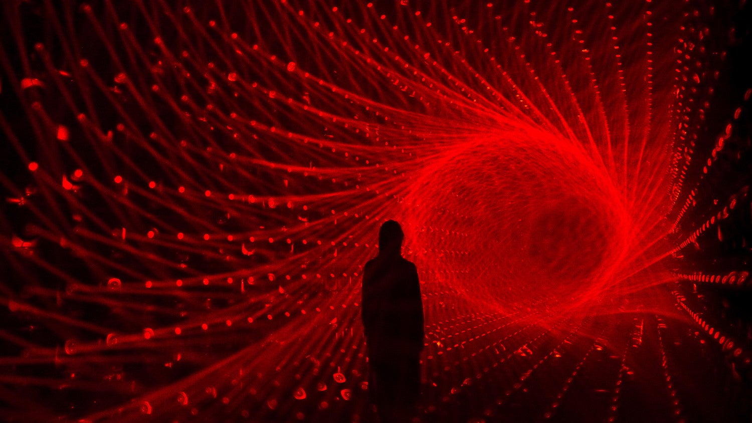 森ビル デジタルアート ミュージアム：エプソン チームラボボーダレス（C）チームラボ