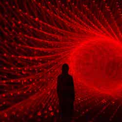 森ビル デジタルアート ミュージアム:エプソン チームラボボーダレス(C)チームラボ