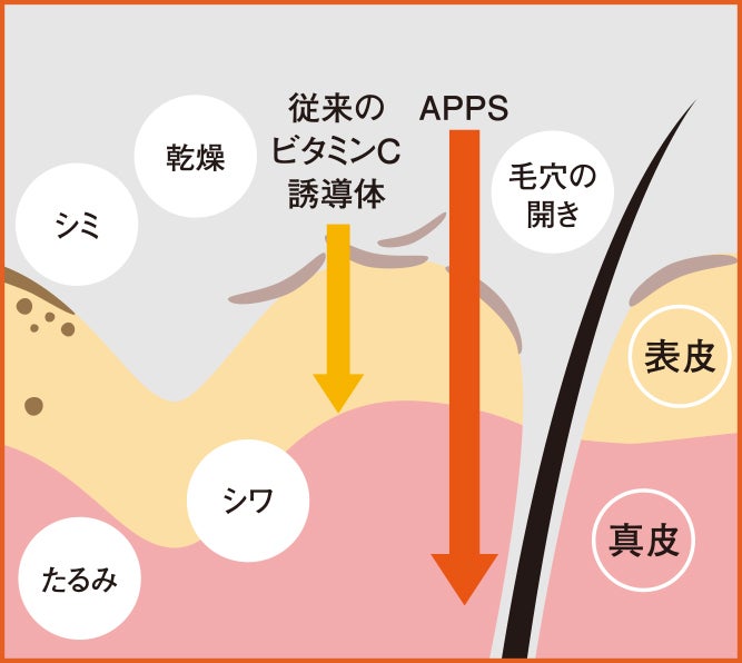 毛穴知らずの すっぴん美人 はスキンケアを 成分 と 浸透 で選んでいた モデルプレス