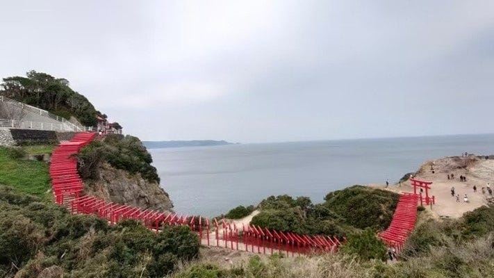 奉納された123本の鳥居が元乃隅神社から海に向かって続いています(2022年3月撮影)
