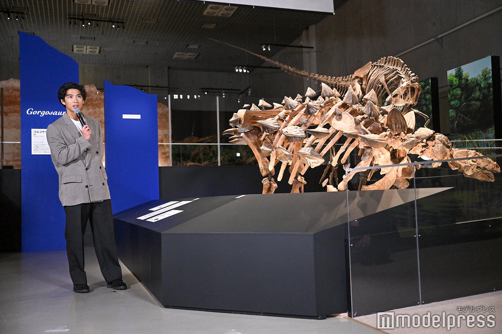 賀来賢人（C）モデルプレス