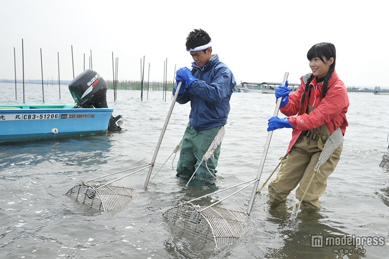 「いきなり！黄金伝説。 600回記念」