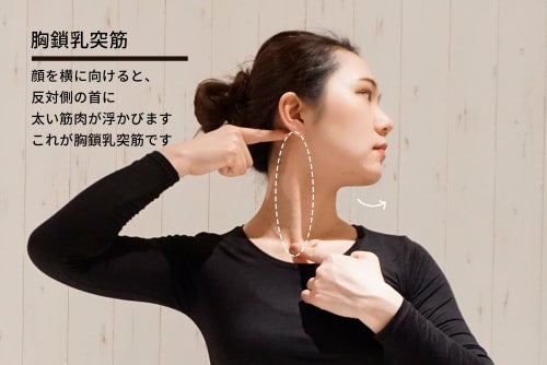 胸鎖乳突筋