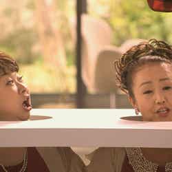 WILLCOM「だれとでも定額」の新CM「すべての電話へ」編