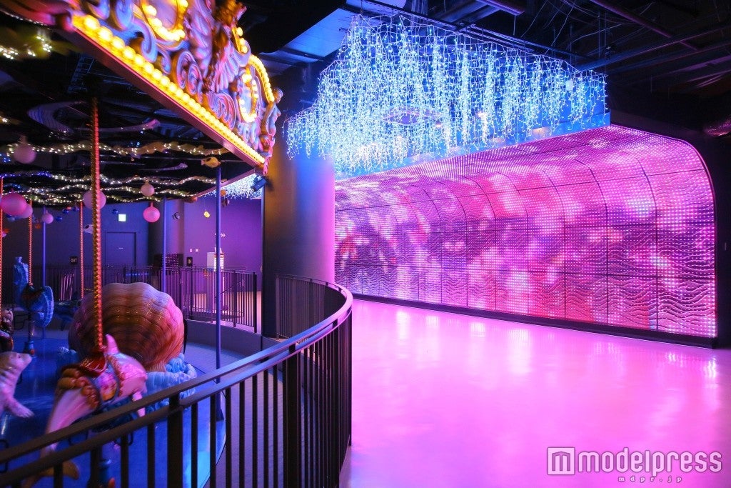 ドルフィンパーティー／画像提供：横浜八景島