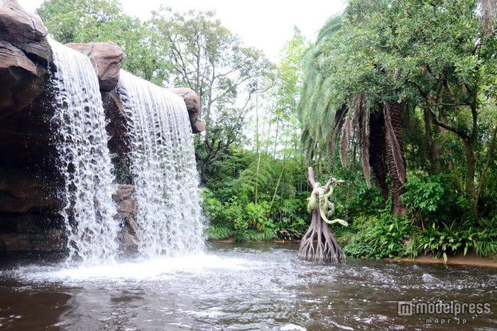 シュバイツァーの滝/「ジャングルクルーズ:ワイルドライフ・エクスペディション」