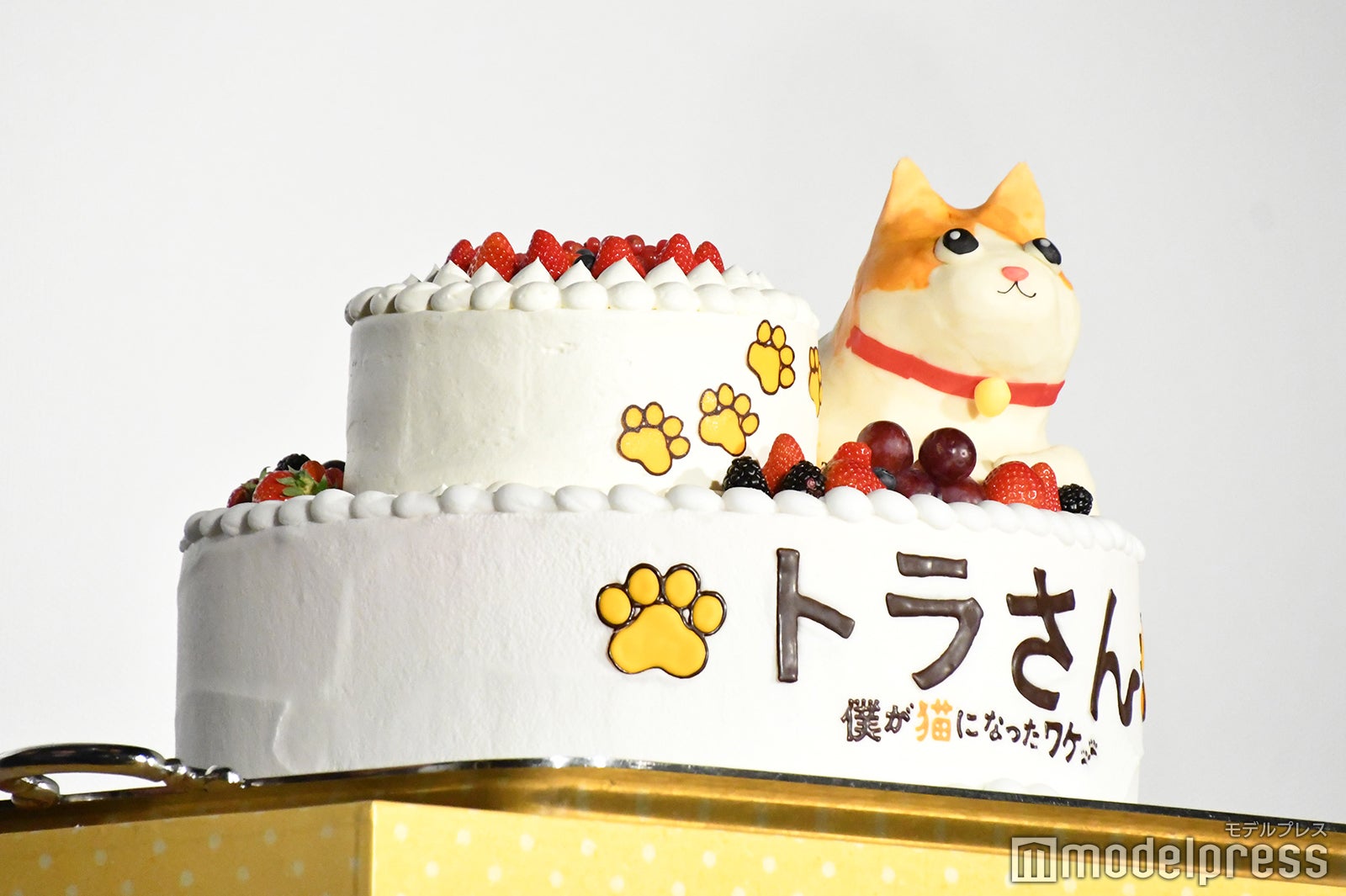 北山宏光主演映画「トラさん～僕が猫になったワケ～」トラ泣き感謝！御礼舞台挨拶より（C）モデルプレス