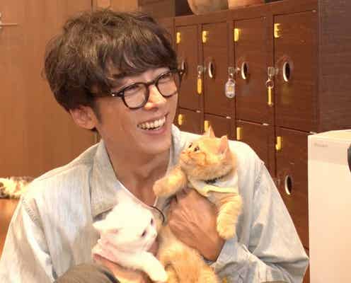 “ネコと戯れる高橋一生”に癒やされる 渡辺直美も「ヤバイ!」
